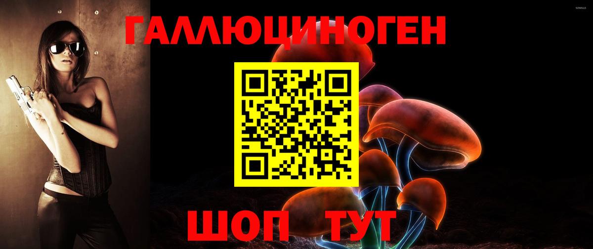 Галлюциногенные грибы MAGIC MUSHROOMS  Галлюциногенные грибы Cubensis  Курган  Вход с VPN 